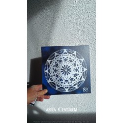 Broderie n°7