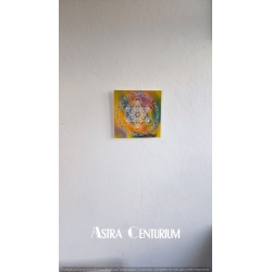 Cube de Métatron N°6