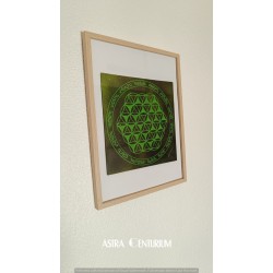 Fleur de Vie N°5