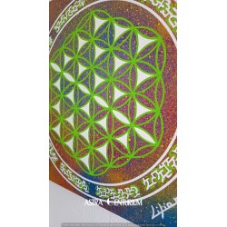 Fleur de vie N° 9