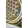 Fleur de Vie N°11