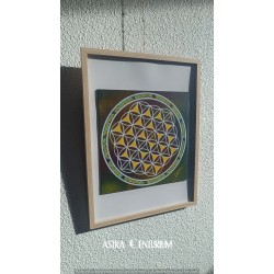 Fleur de Vie N°4