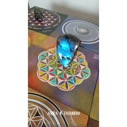 Fleur de Vie N°8