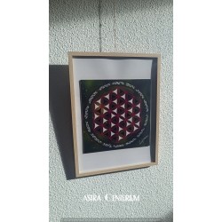 Fleur de vie N° 10