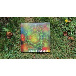 Tesseract N°5