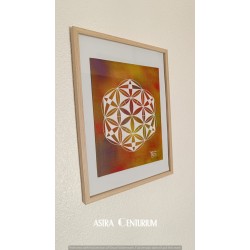 Hexagramme étoilé N°1