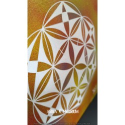 Hexagramme étoilé N°1