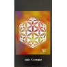 Hexagramme étoilé N°1