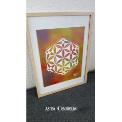 Hexagramme étoilé N°1
