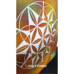 Hexagramme étoilé N°4