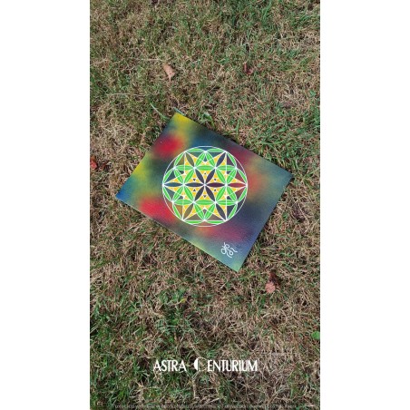 Hexagramme étoilé N°11