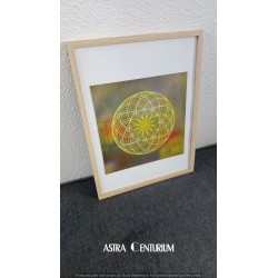 Hexagramme étoilé N°2