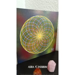 Tore N°5