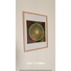 Tore N°5