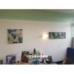Amazonie 1 sur 2