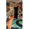 Shamany Door